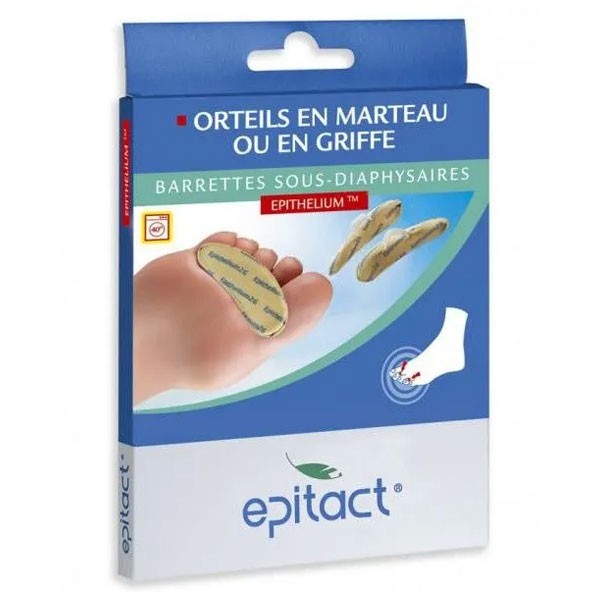 EPITACT tiras en tamao humano diafisaria epitelio L