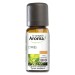 Encimera Aroma aceite esencial ciprs 10ml